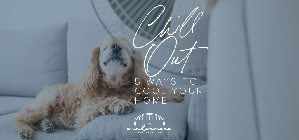 Chill Out: 5 Ways to Cool Your Home